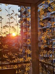 The Canopy (D27), Condominium #571826021